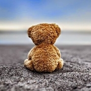 avatar de Nicestbear